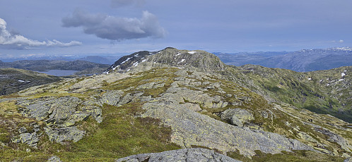 Gråeggi from Pyttafjellet