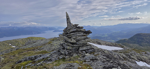 Gråeggi