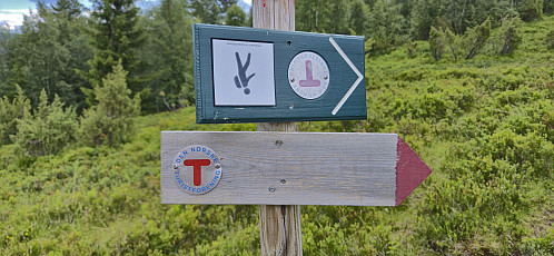 Interesting hiking signs at Hølsete :) 