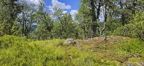 The highest point at Skjeggen