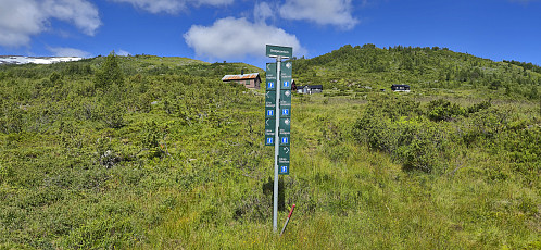 Lots of hiking signs above Rindabotn