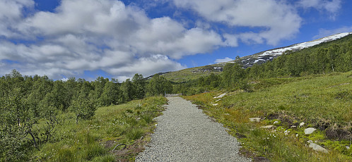 The gravel path from Rindabotn