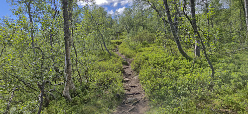 The trail to Fagereggi