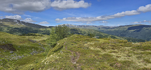 On the way back to Rindabotn