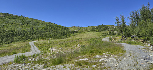 ... and then continued walking up the gravel road