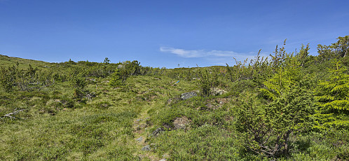 The marked trail to Kokkstadfjellet and Vardafjellet