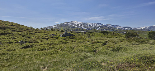 Following the trail towards Vardafjellet