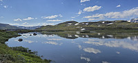 Vetle Hansbunuten