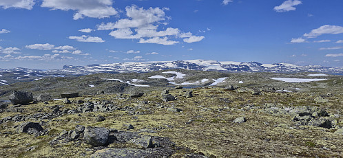 Hardangerjøkulen from Storetunga