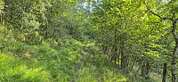 The tractor road
