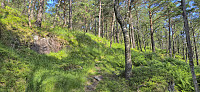 The trail to Børkjenesnuten