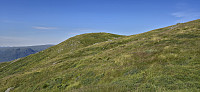 The summit of Børkjenesnuten