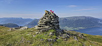 Børkjenesnuten