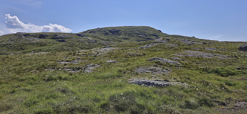 Approaching the summit of Gaddanuten