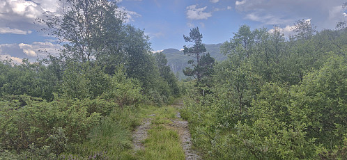 The gravel road east of Tjellevatna