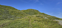 Approaching the false summit
