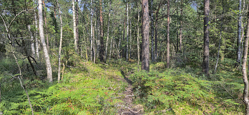 Descending via deer tracks from Skora