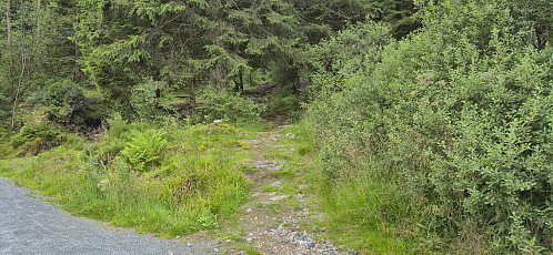 The unmarked trailhead