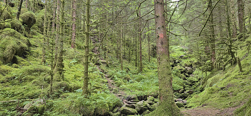 The start of the ascent route