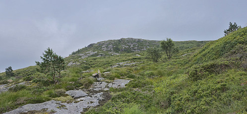 Approaching the summit