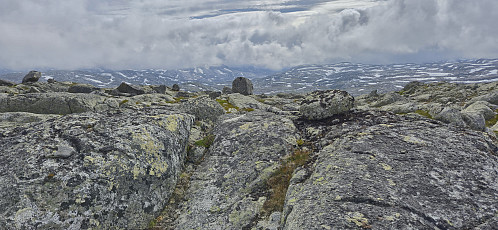 The highest point at Søre Grøndalsnuten
