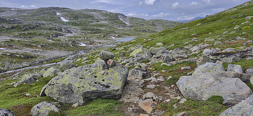 Connecting with the marked trail to Hallingskeid