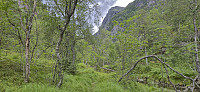 Roaldsdalen