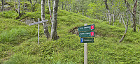The trail forks for a second time