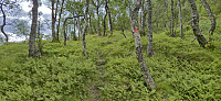 Marked trail to Oskarborg