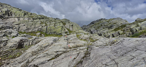 Marked trail north from Toppen