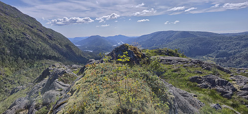 The summit of Åsen