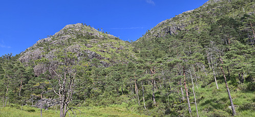 Looking back at my descent route via the valley at the middle