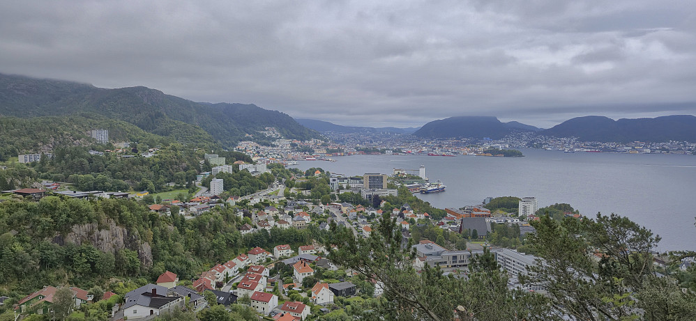 The improved view towards the Bergen city center from Furukammen (after the removal of some trees/branches)