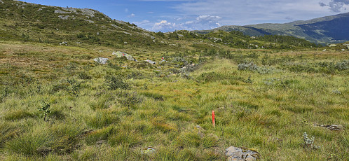 The marked trail in Botnen