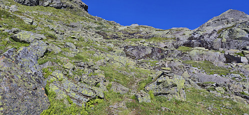 The marked trail in Tryglabotnen