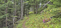 Marked trail to Stalheimsnipa