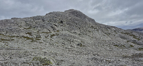 The final ascent to the false summit