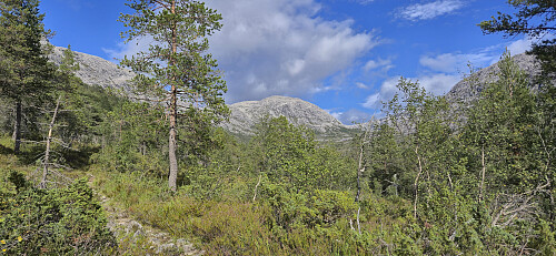Looking back up at Vest for Stangahøgdi from the trail
