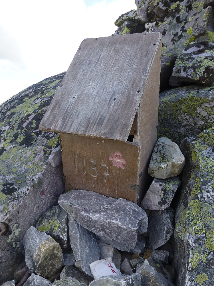 Kasse på toppen med bok