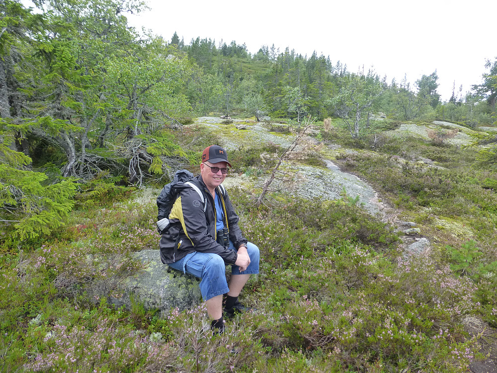 Vi har kommet opp i høyden og stien fortsetter på fine sva framover med utsikt til omkringliggende fjell og daler