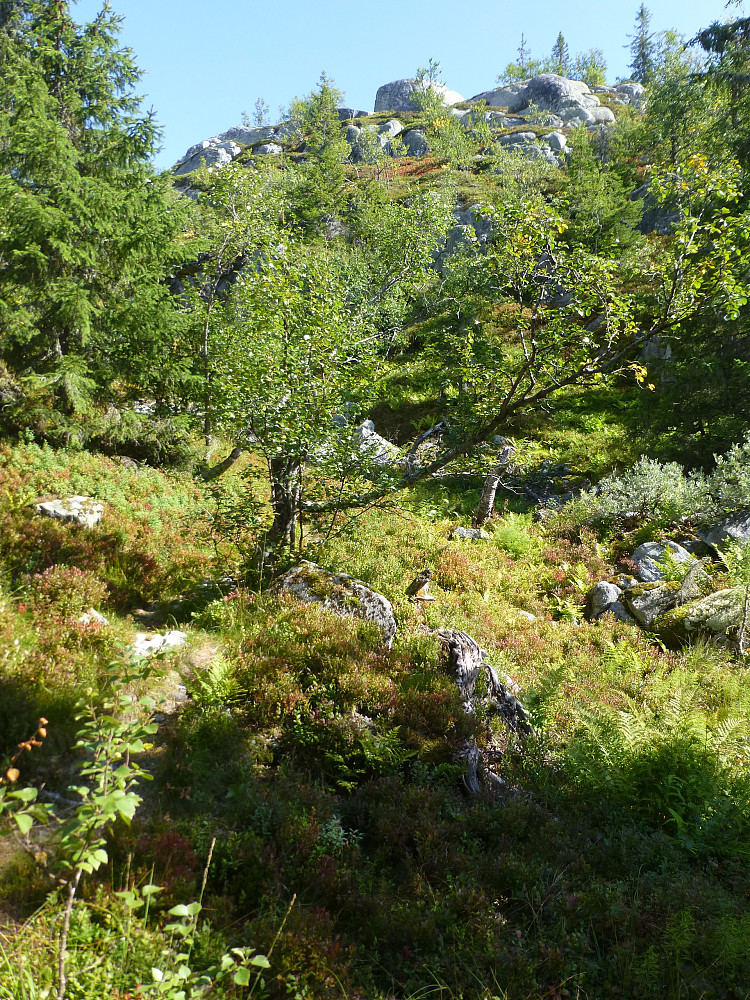 Der opp et sted er toppen