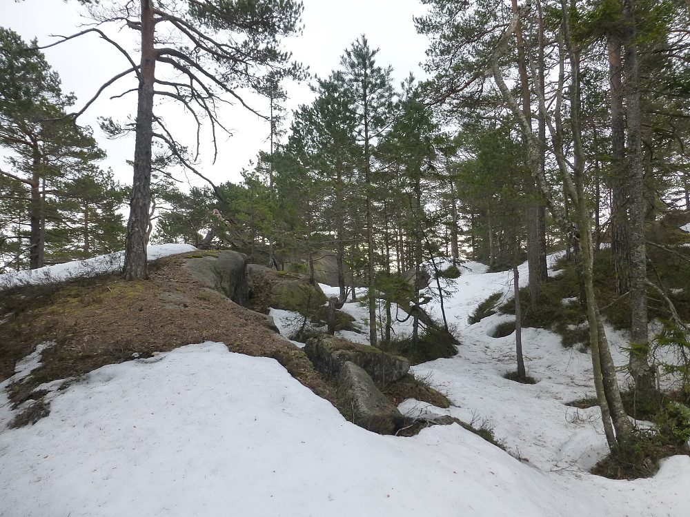 Terrenget i gikk i