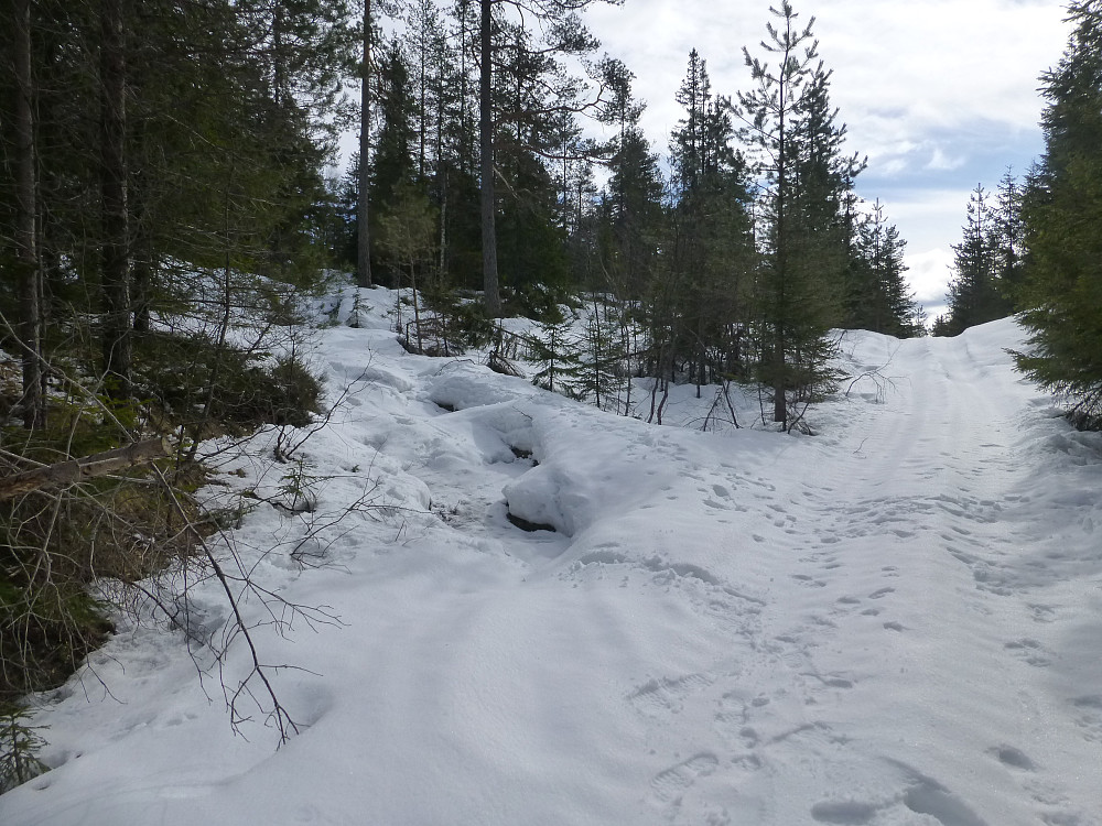 Her tar vi av fra hovedtraktorvegen. Snøen var ikke så hard på sidesporet, så vi trakk fort opp i lia som var delvis snøfri