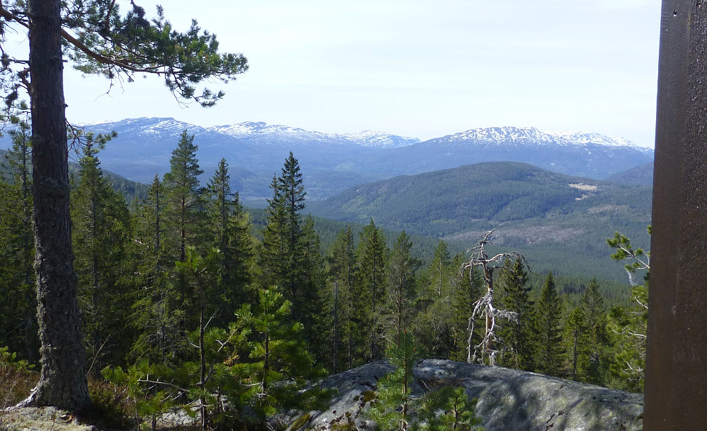 Fantastiks utsikt til mine barndomsfjell. Fra venstre, Himingen, Slettefjell, Røysdalsnuten og Heksfjell med Blåfjønnfjellet.