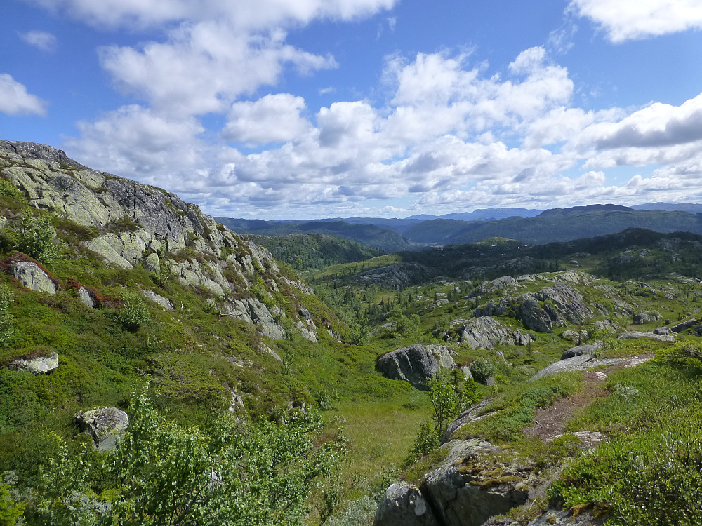 Vi fulgte flere daler oppover, dette er den siste. Forrige dal ble kalt Sløkedalen, men ingen sløker å se, men det var mye annet vakkert der både blomster og sommerfugler.