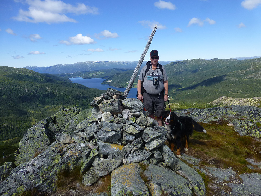 Bonnie - lånehunden - er med på turen i dag. Flott utskt fra toppen mot Logvikvatnet og Raulandsfjella.