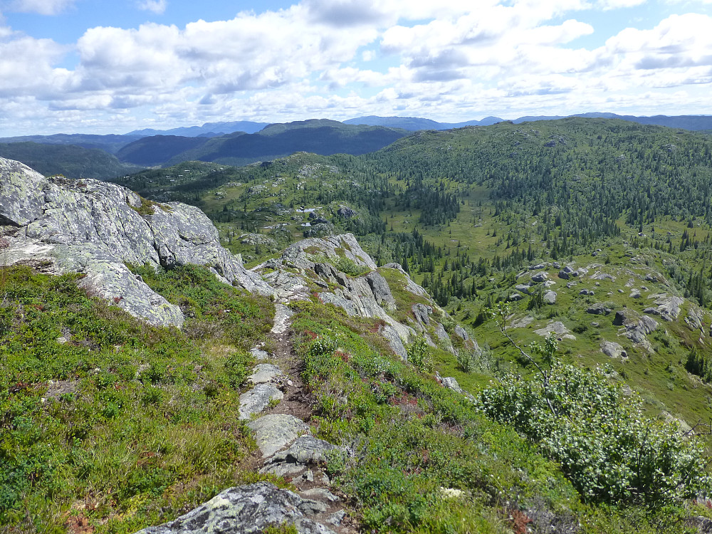 Vi fulgte fjellryggen nedover et stykke før vi tok inn mot stien igjen. Sti nedover ryggen, men vi måtte finne tilbake til hovedstien selv.