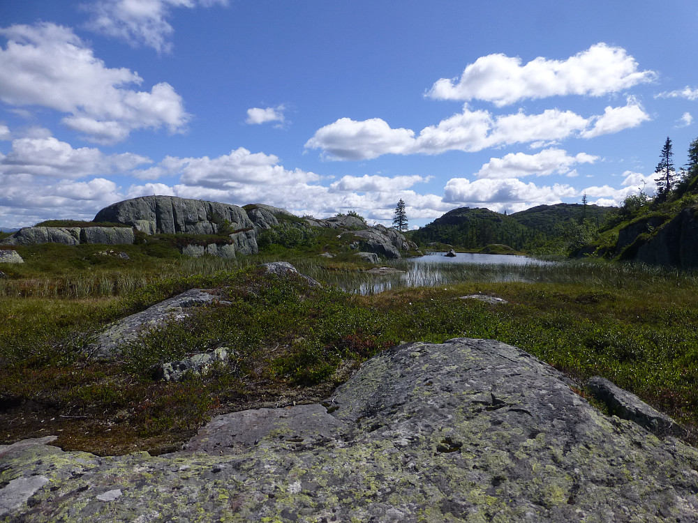 Idyllisk landskap, nede ved tjernet igjen. Nå valgte vi å gå langs tjernet. Litt opp og ned, men helt fremkommelig.