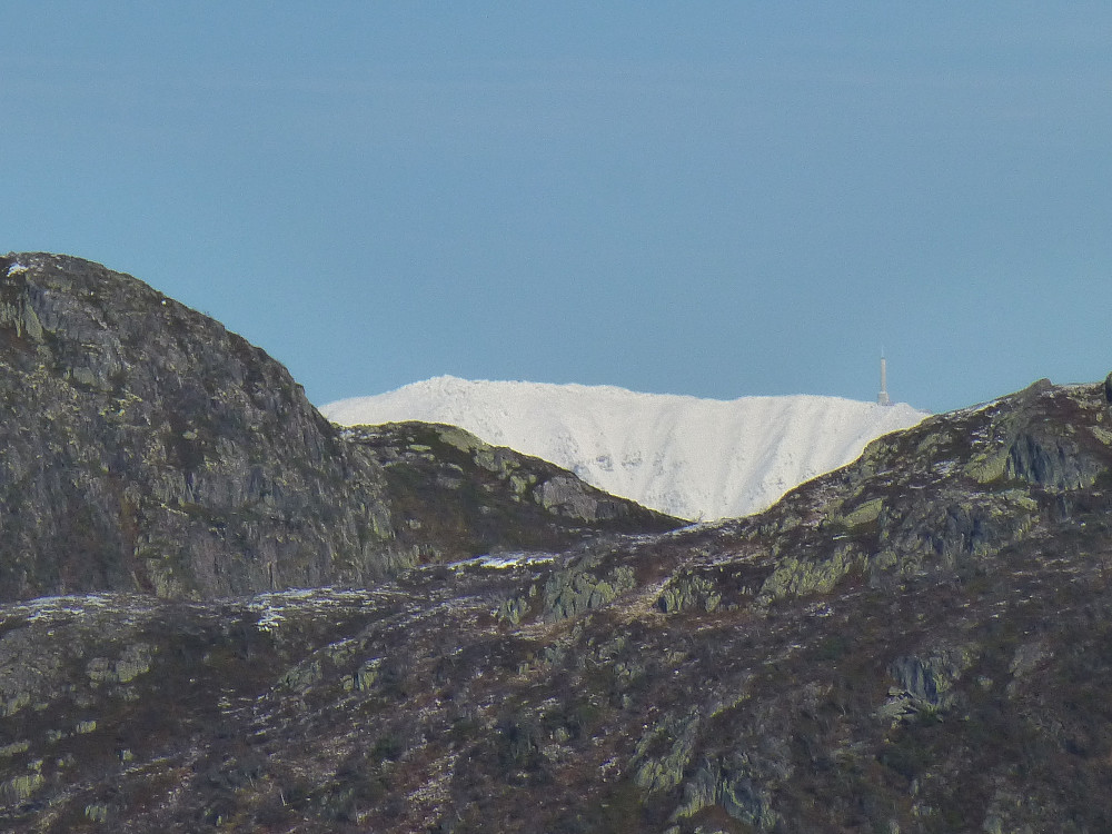 Gaustatoppen i sikte mellom fjelltoppene. Etter en sjekk på kartet så fant jeg ut at det var mellom Gunnarstaulnuten og Klopperonuten