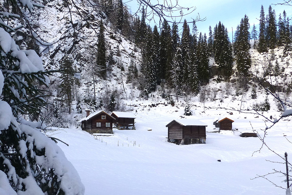 Hamsjord i Flatdal